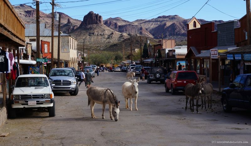 10 Iconic Arizona Desert Towns Everyone Should Visit Once - Decor Hint Oatman