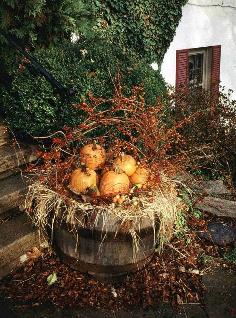 Vintage Wooden Barrels Filled With Pumpkins And Autumn Foliage