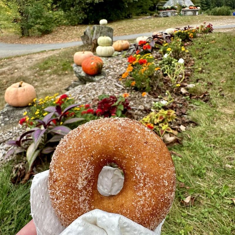 Dowse Orchards' Crispy-Edged Treasures
