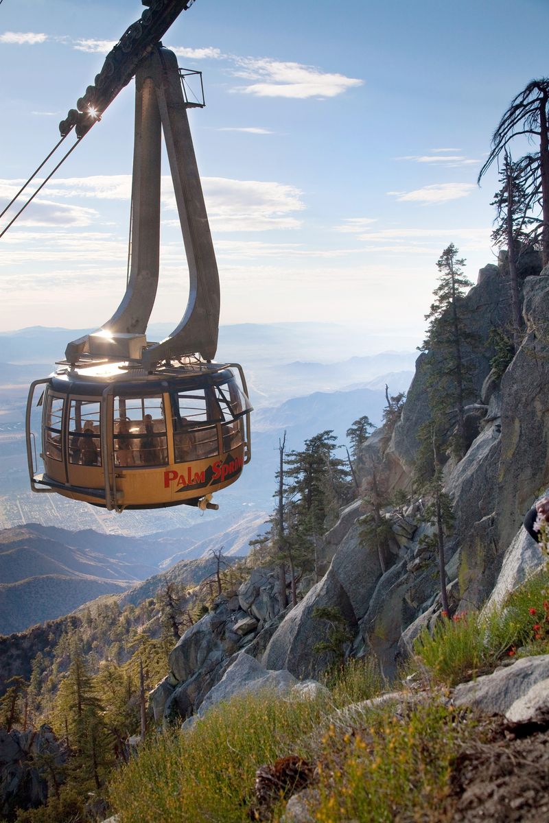 Ride The Palm Tree-Lined Aerial Tramway In Palm Springs
