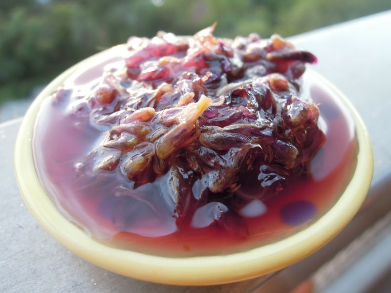 Kudzu Jelly