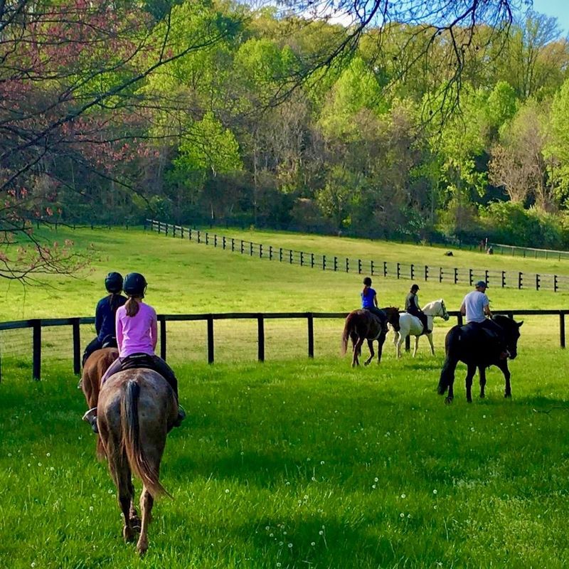 Northern Virginia Wine Country Path
