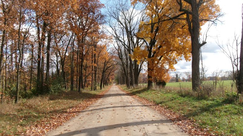 Stunning Fall Foliage