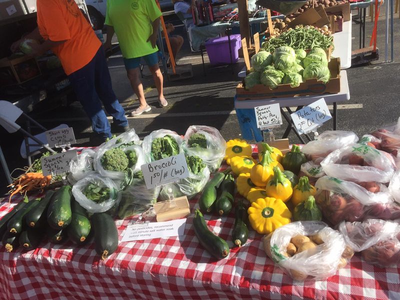 Experience Fall Magic In This Picturesque Illinois River Town - Decor Hint Alton Farmers' & Artisans' Market