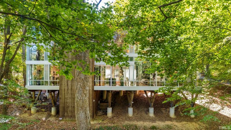 Luxurious Modernist Tree House - Raleigh, NC
