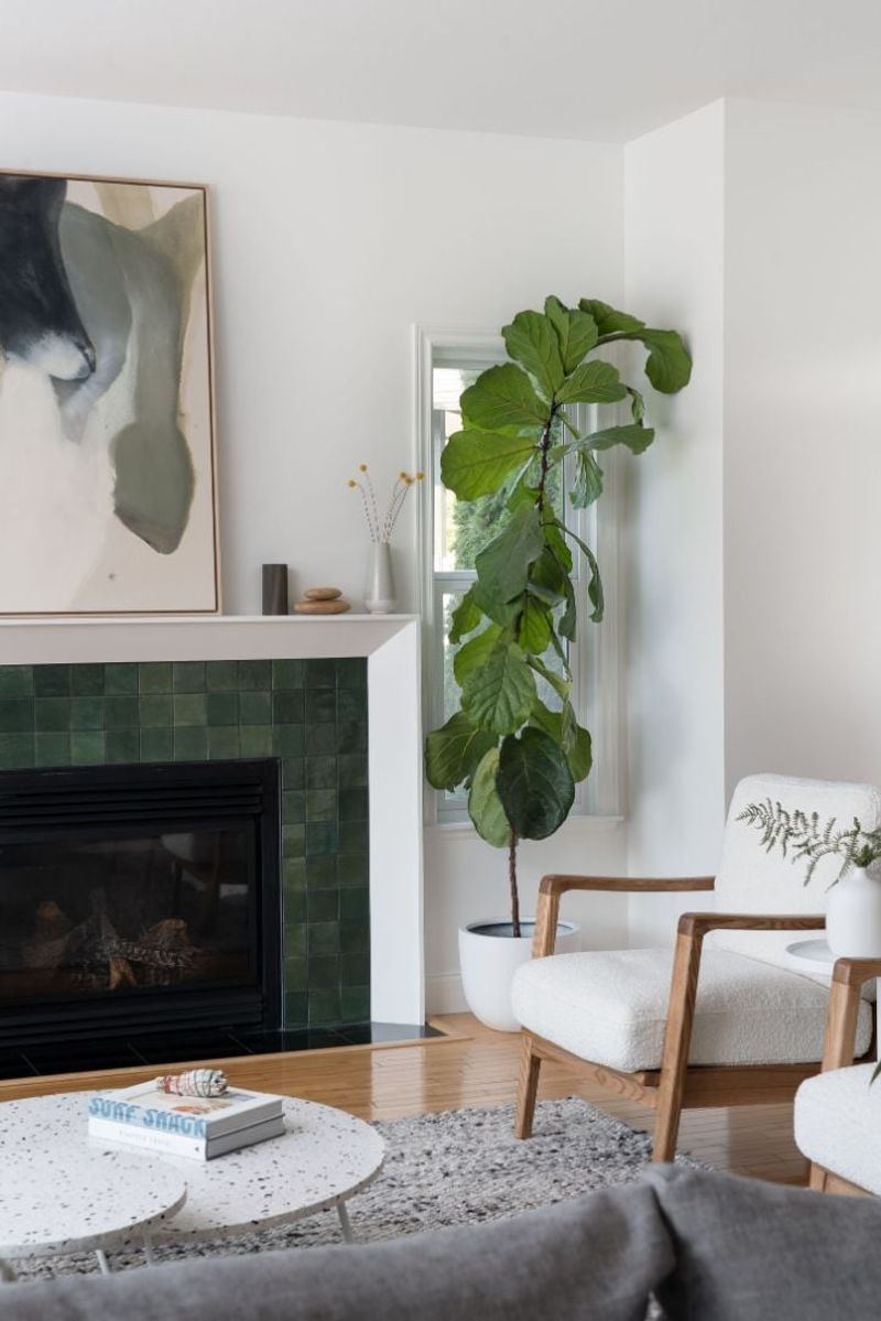 Forgetting to Incorporate Indoor Plants and Greenery