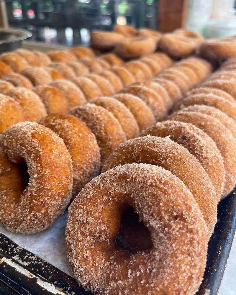 Honey Pot Hill's Mini Doughnut Bites