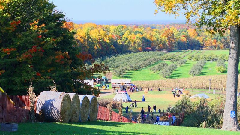 Fall Harvest Jamboree at Mapleside Farms