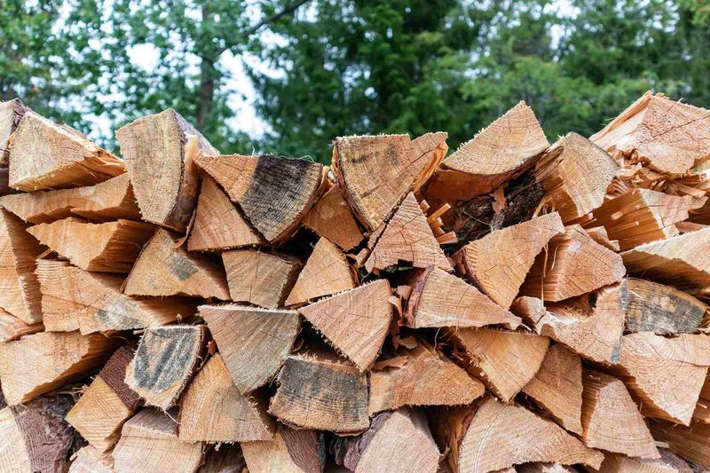 13 Easy Ways To Stop Pests From Invading Your Wyoming Home Before Fall - Decor Hint Store Firewood at Least 20 Feet From Your Home