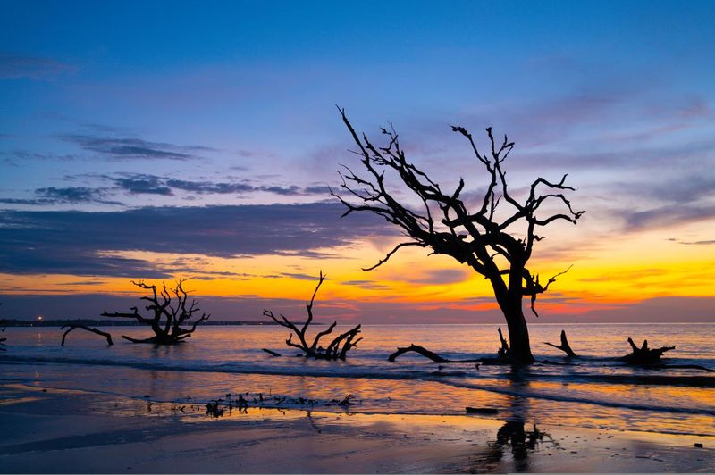 Jekyll Island