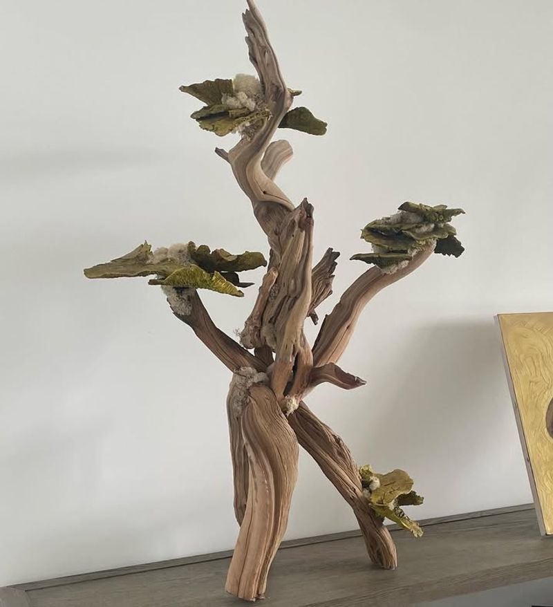 Driftwood Sculptures