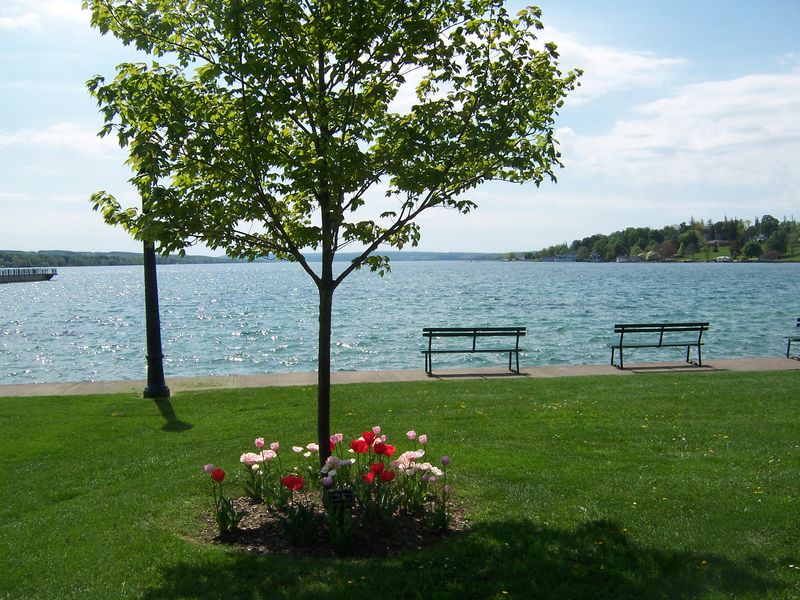 Skaneateles