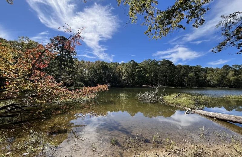 14 Hidden Lakes In Alabama That Are Perfect For Fishing Camping And Escaping It All - Decor Hint Highrock Lake