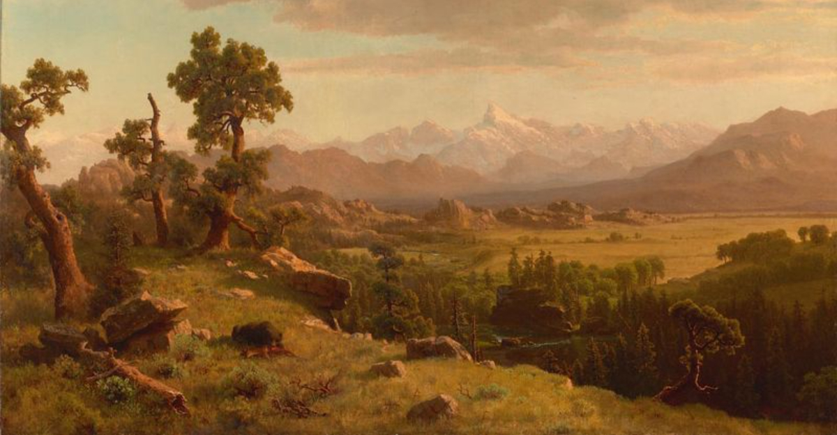 Colorado Antique Enthusiasts Celebrate 13 Treasures With Incredible Potential And 4 Poised For Growth - Decor Hint