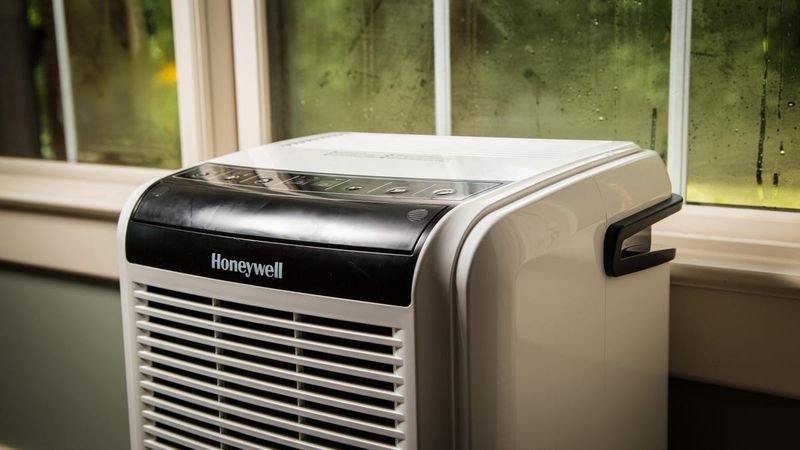 Louisiana Homeowners Are Turning To This Budget-Friendly Upgrade To Fight Mold - Decor Hint How To Install Or Retrofit On A Budget