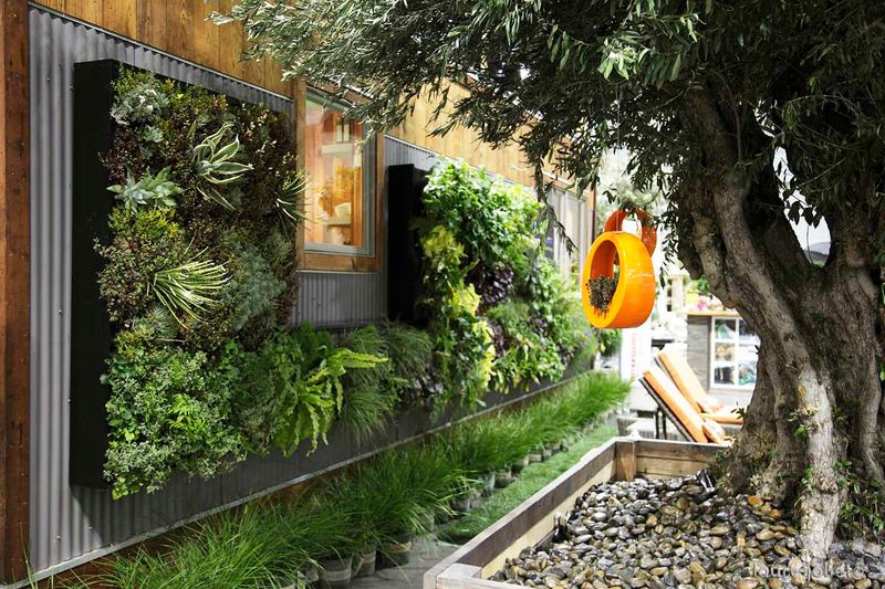 12 Garden Design Trends Shaping 2026 In New York - Decor Hint Vertical Gardens And Trellised Vines