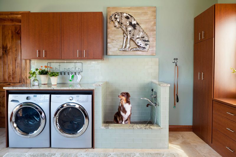 Reclaimed Barn Wood Haven with Dog Washing Station