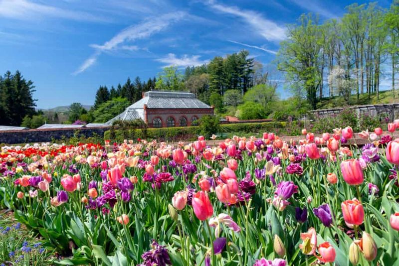 A North Carolina Location Earns Recognition As A Top Honeymoon Choice - Decor Hint Seasonal Events