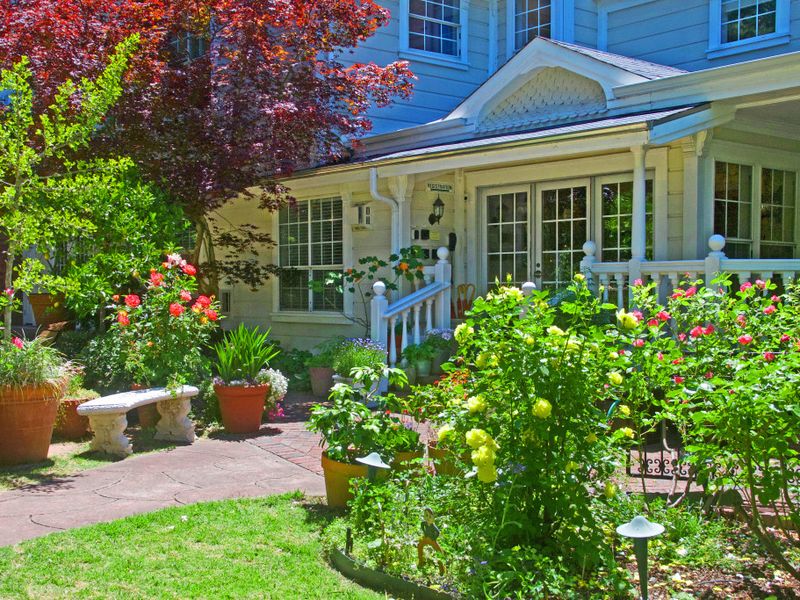 Cozy California Inns That Capture Perfect Cottagecore Vibes - Decor Hint The Inn At Occidental