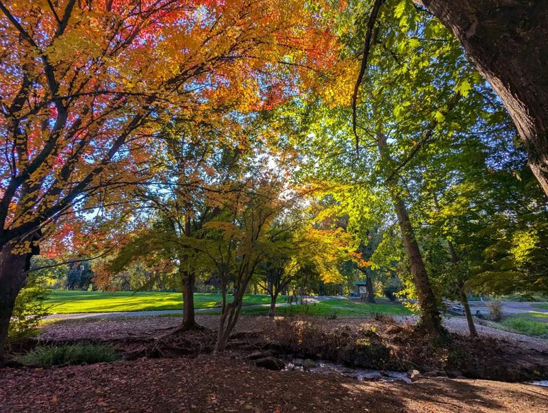 Bear Creek Greenway (Medford To Ashland)
