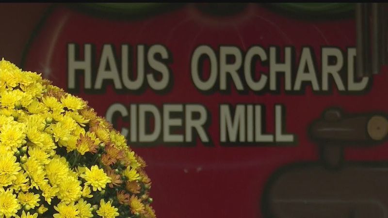 17 Ohio Cider-Donut Stands Locals Say Are Totally Worth The Turnoff - Decor Hint Haus Orchard & Cider Mill - Canfield
