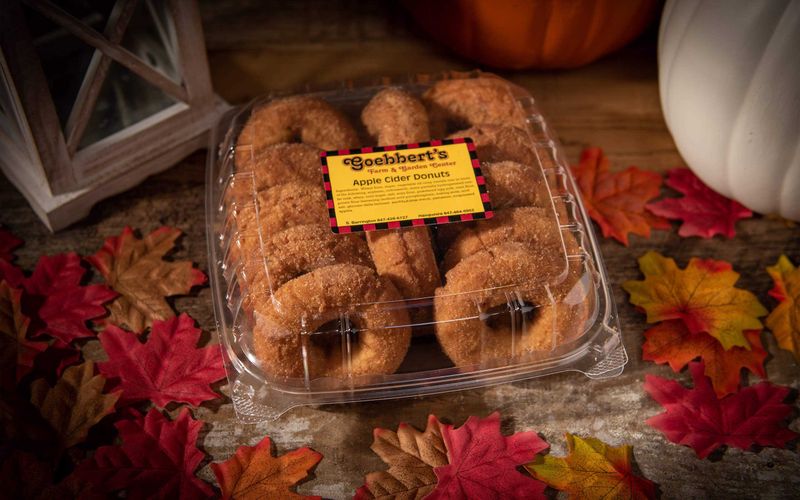 17 Illinois Cider Donut Stands That Make Every Bite Feel Like Autumn - Decor Hint Goebbert's Pumpkin Patch - South Barrington