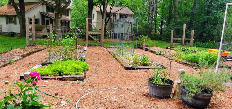 DIY Projects That Are Surprisingly Illegal In Some States, From California To Ohio - Decor Hint Planting Front Yard Vegetable Gardens