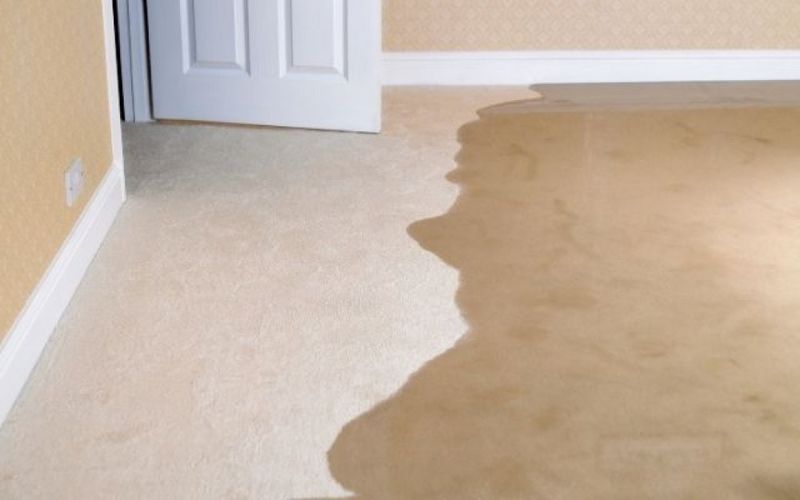 14 Maryland Homes With Design Features Owners Now Regret Choosing - Decor Hint Carpet in the Master Bathroom