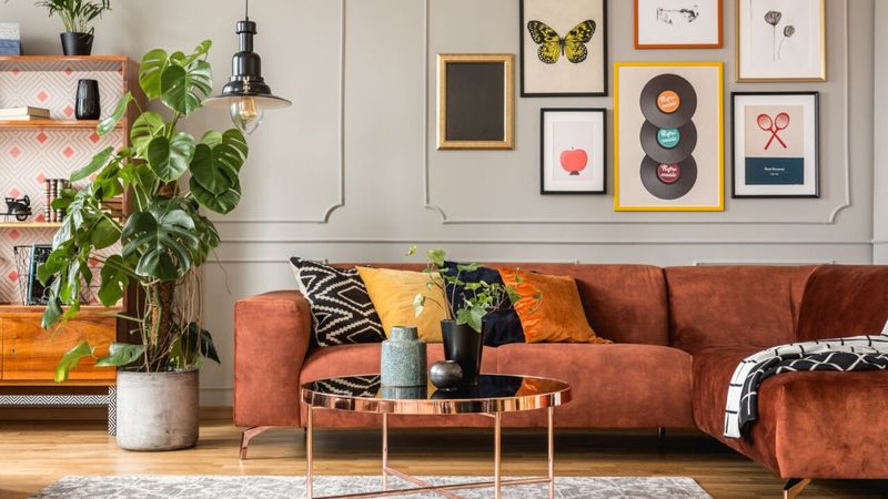 California's 12 Most Overplayed Living Room Trends To Ditch - Decor Hint Plastic Indoor Plants
