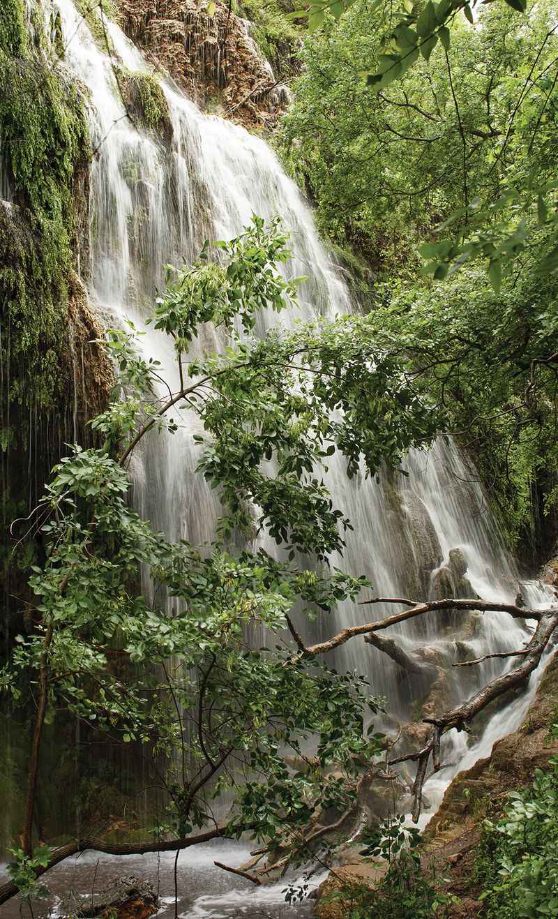 Gorman Falls