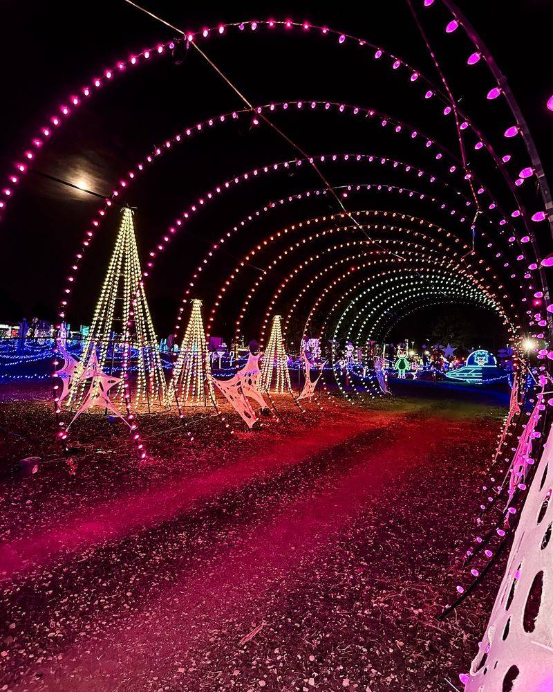 12 New Mexico Halloween Displays That Wow Every Neighborhood - Decor Hint Interactive Trick-Or-Treat Tunnel