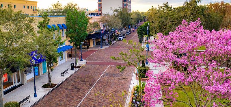 Great Places To Visit In Florida For Solo Women Travelers - Decor Hint Winter Park