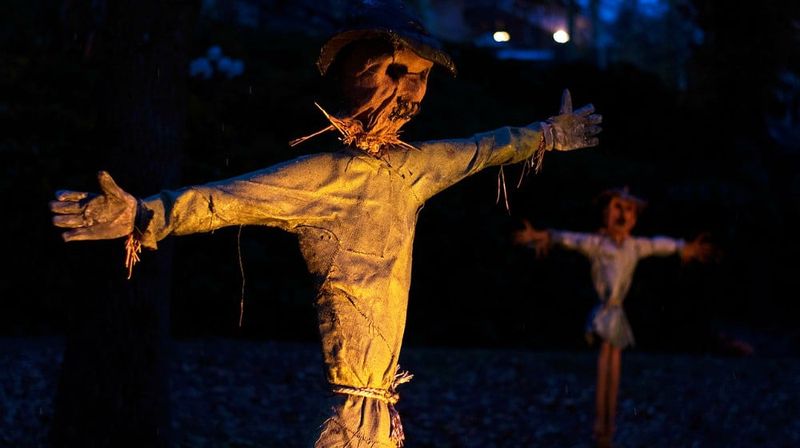 Texas Homeowners Go All Out With These Creepy Yard Displays - Decor Hint Scarecrow Uprising