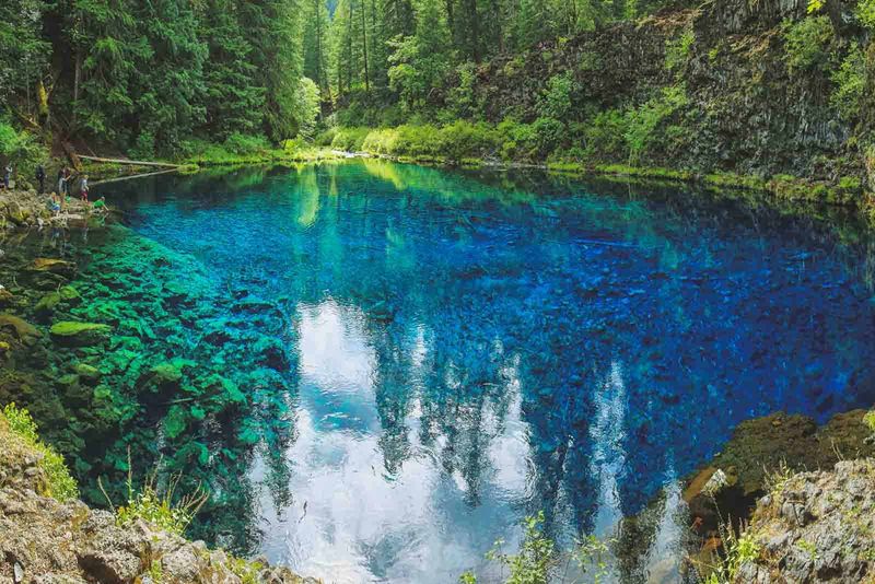 McKenzie River Trail (Willamette National Forest)