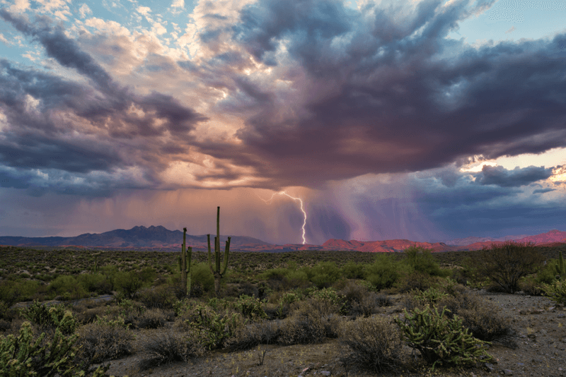 17 Arizona Home Trends Transforming Desert Living By 2030 - Decor Hint Monsoon-Ready Infrastructure