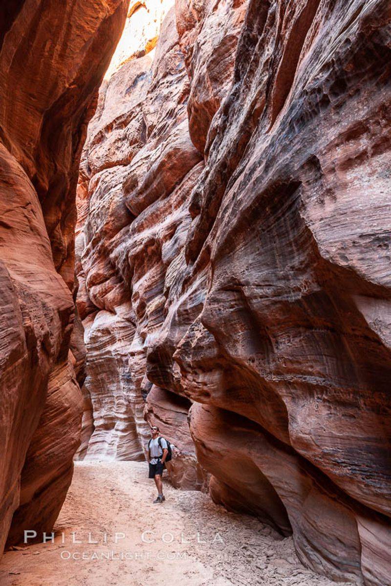 Trails In Utah That Show Why Hiking Here Is Unforgettable - Decor Hint Buckskin Gulch in Paria Canyon-Vermilion Cliffs Wilderness