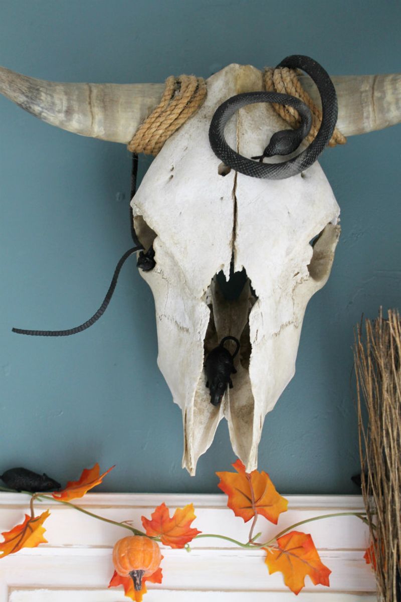 Arizona's Favorite Desert Halloween Landscapes You Can't Miss - Decor Hint Cow Skull Centerpiece