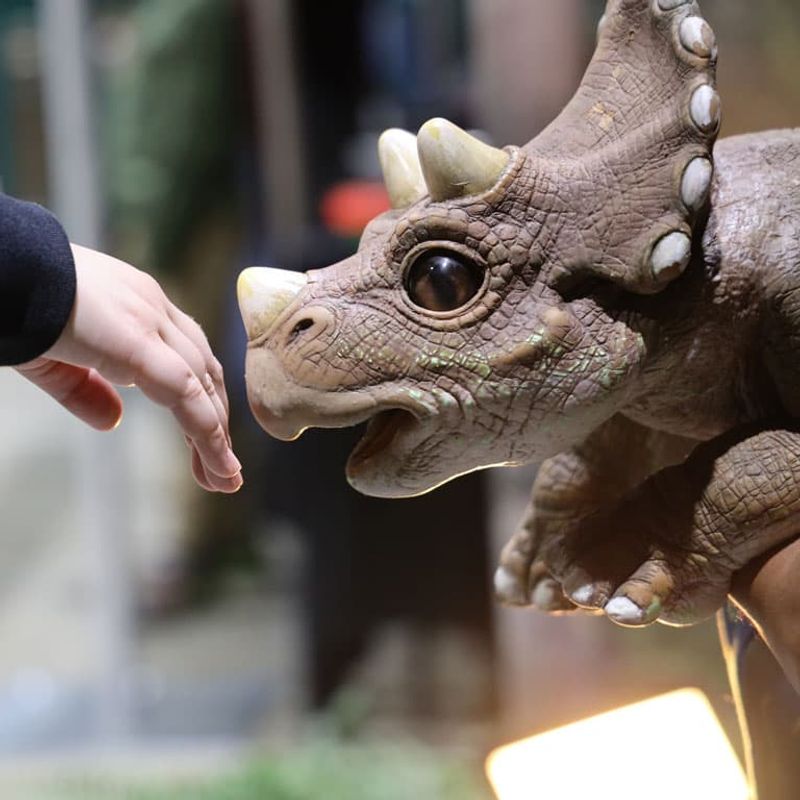 Explore The Baby Dinosaur Encounters