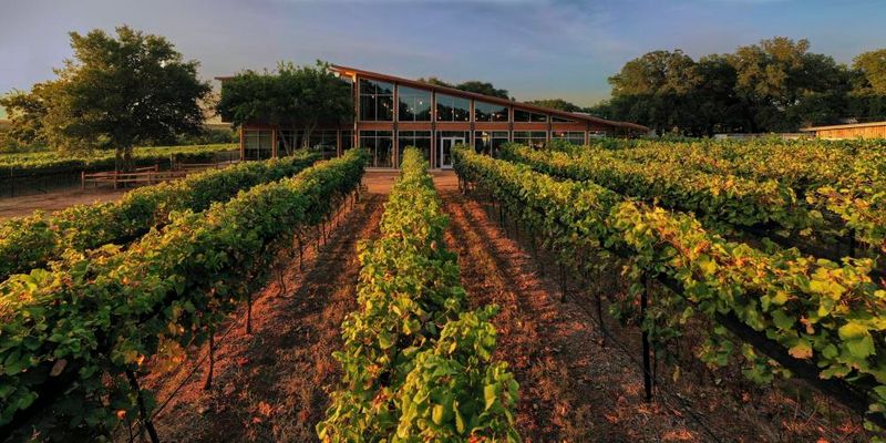 Romantic Austin Adventures Every Couple Should Try - Decor Hint Take A Beverage-Tasting Tour In Nearby Hill Country