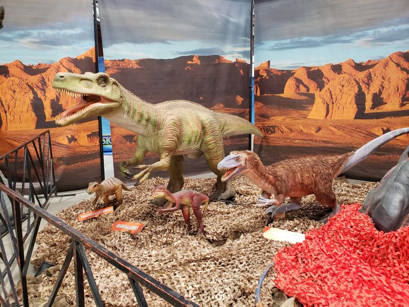 Dig For Fossils At The Fossil Dig Site