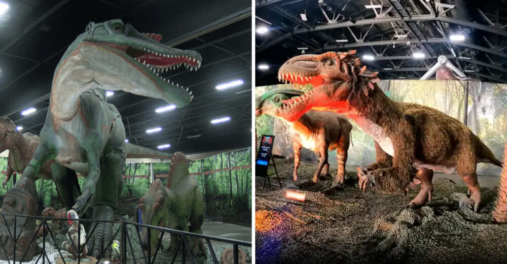 Dino Mite Family Fun 10 Things To Do At Jurassic Quest Toledo - Decor Hint