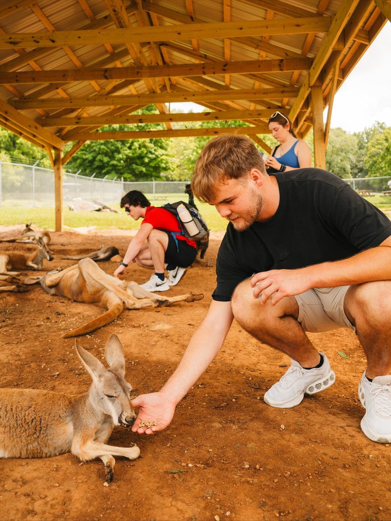 Kentucky Down Under Adventure Zoo