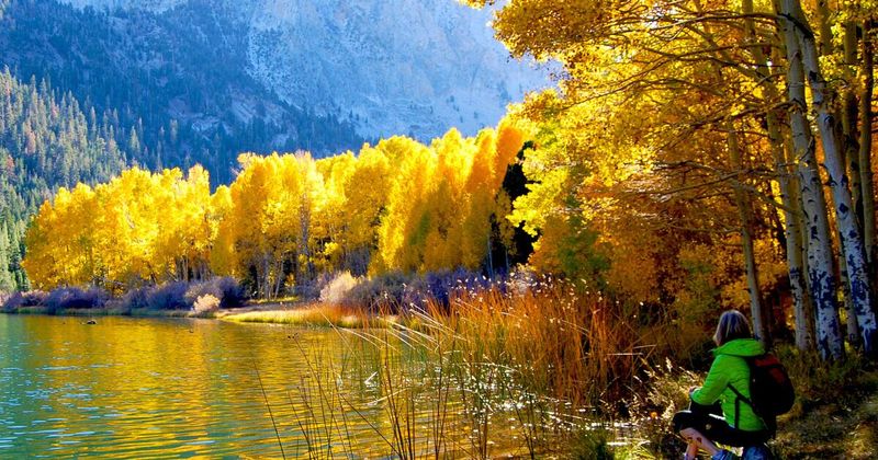 Discover California's Hidden County Before Fall's Foliage Fades - Decor Hint Why Plumas County Is California's Fall Foliage Secret