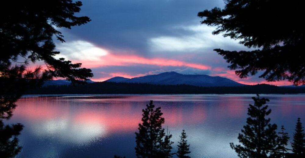 Discover Californias Hidden County Before Falls Foliage Fades - Decor Hint