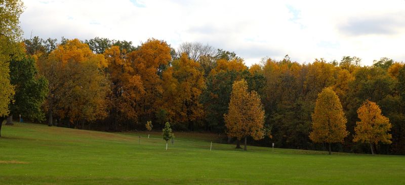 Rich Fall Foliage