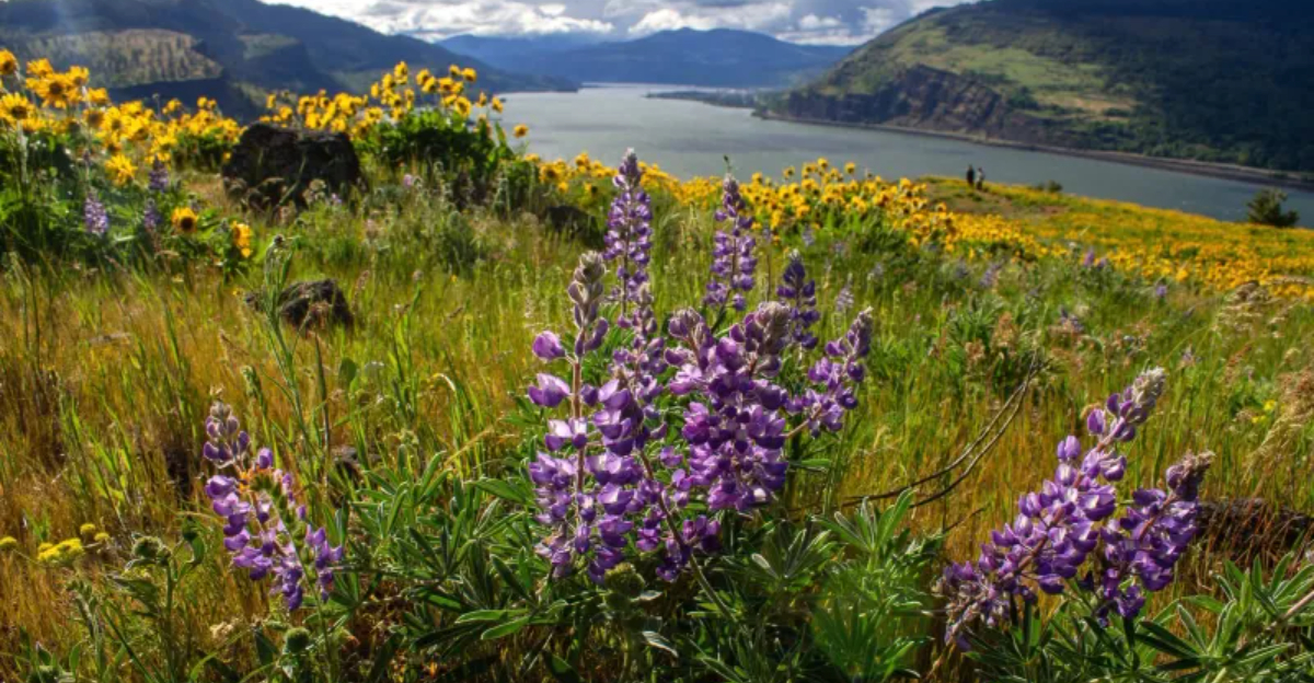 Discover The Oregon Mountain Town With Waterfalls And Breathtaking Views - Decor Hint