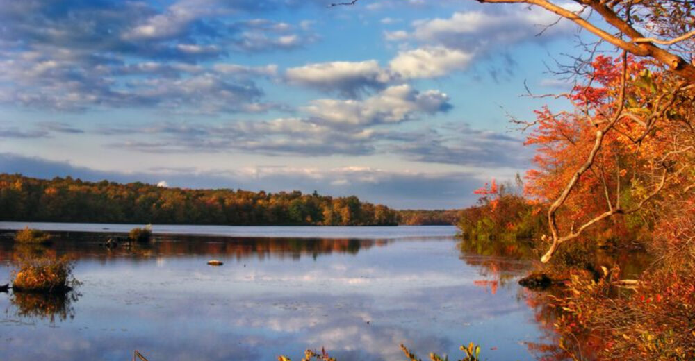 Discover the Poconos Mountain Town In Pennsylvania Thats Ideal For A Scenic Escape - Decor Hint