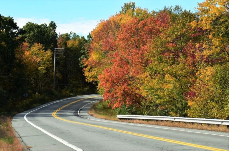 Discover the Poconos Mountain Town In Pennsylvania That's Ideal For A Scenic Escape - Decor Hint How To Get There - From Major Cities To The Poconos