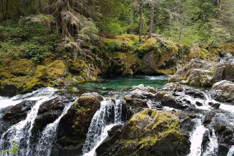 Opal Creek to Jawbone Flats