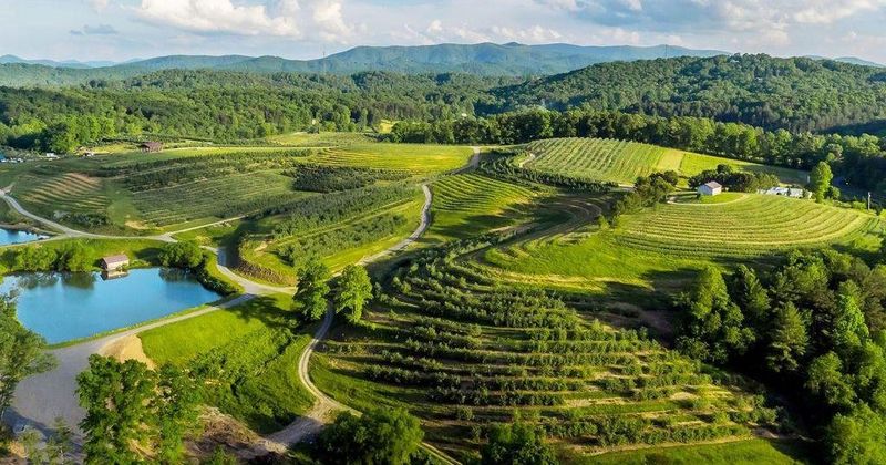 Recharge Your Soul In Blue Ridge, Georgia - Decor Hint Mercier Orchards